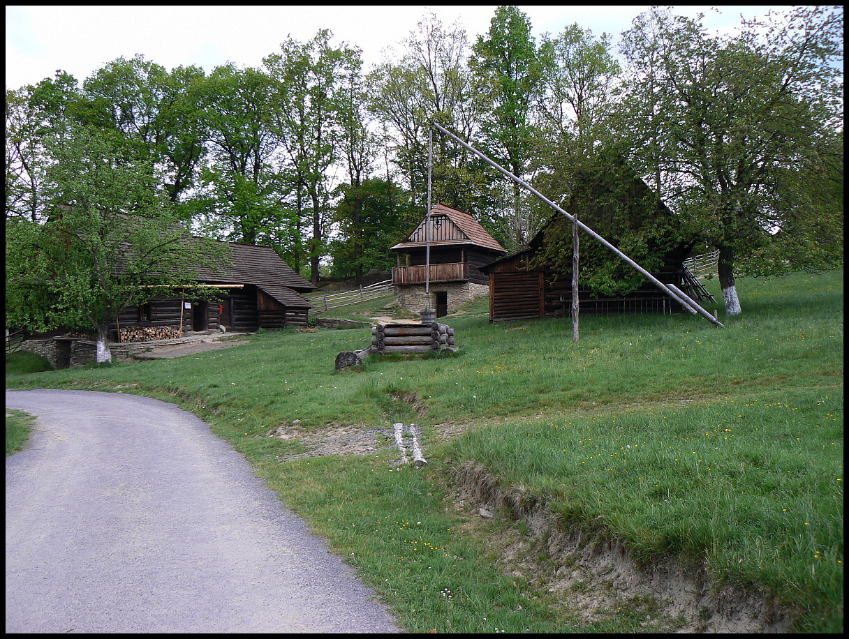 Z36 161.jpg