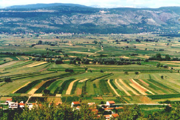 A046.jpg