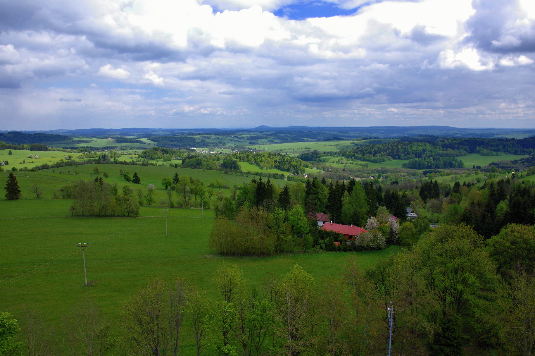 IMGP4141