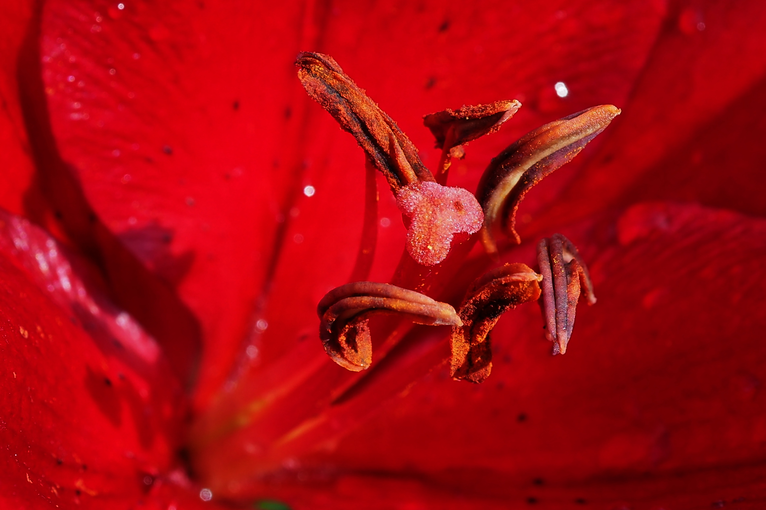 P8260009