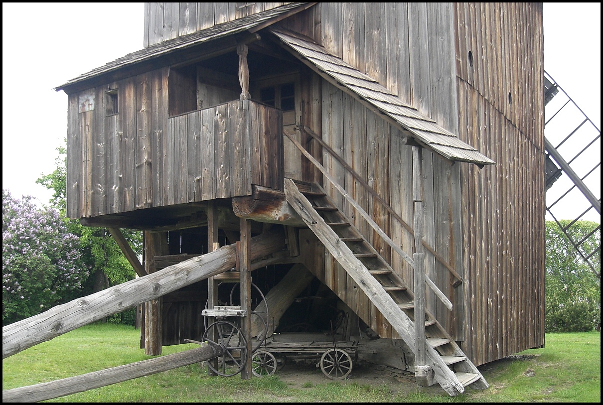 P009.jpg